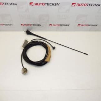 Antenna completa Citroën Xsara Picasso 9658881880 6561A0 6561EF 6561A1