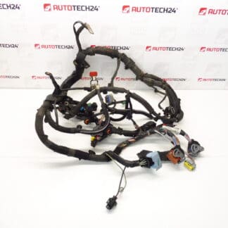 Cablaggio Citroën Peugeot 1.6HDI 9663385080 6569FK 6569JZ