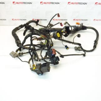 Cablaggio motore Citroën Peugeot 2.2 HDI 9648542580 6558PA