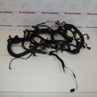 Cablaggio motore Citroën Peugeot 2.2 HDI 9648544480 6558NY