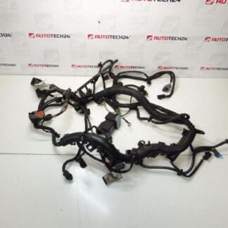 Cablaggio motore Peugeot 307 2.0 HDI 9663581780 9663581680 6569FH