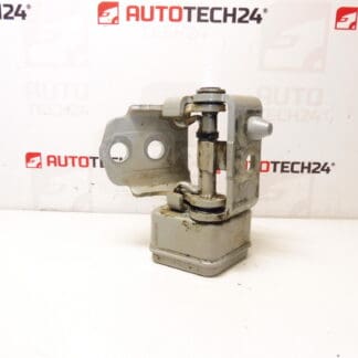 Fermo cerniera porta anteriore sinistra Peugeot 207 23709080 9035T5