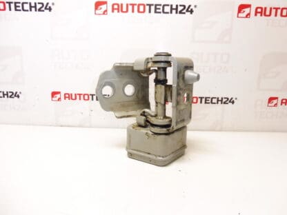 Fermo cerniera porta anteriore sinistra Peugeot 207 23709080 9035T5