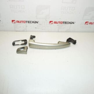 Maniglia per porta Citroën Peugeot grigia ETSC9101GF