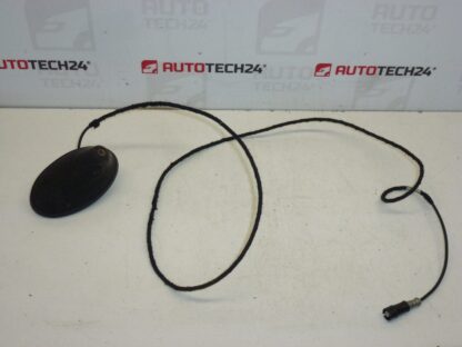 Antenna Peugeot 207 9651423580 6561GW